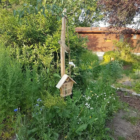 Casa vacanze Back To Basic! Quiet On Natural Farm *